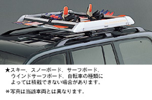All season carrier (roof rail type)