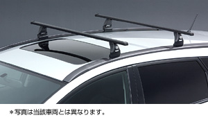 surishisutemuratsuku (based rack (roof rail type))
