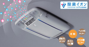 Disinfectant ion air cleaner (dome lamp attaching automatic)