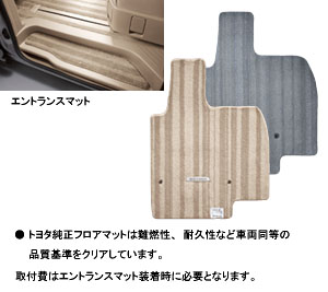 Floor mat (luxury itself/entrance mat)
